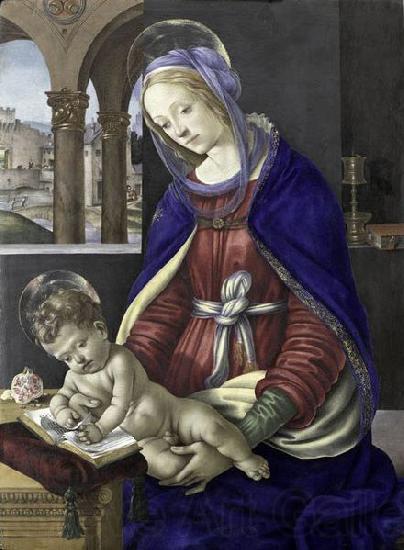Filippino Lippi Madonna and Child, tempera Spain oil painting art